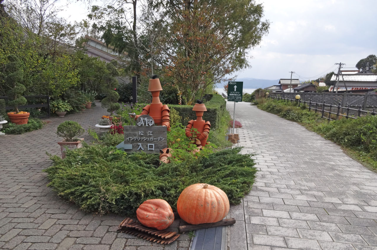 松江イングリッシュガーデン 秋 山陰と小庭 写真