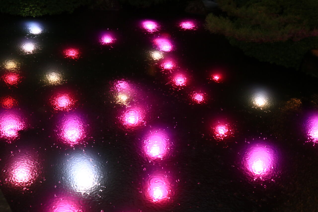 大根島 由志園イルミネーション 19 山陰と小庭 写真