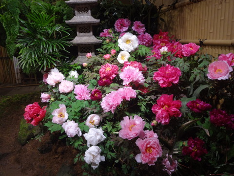 DSC00163