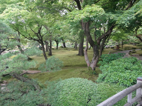 DSC00142
