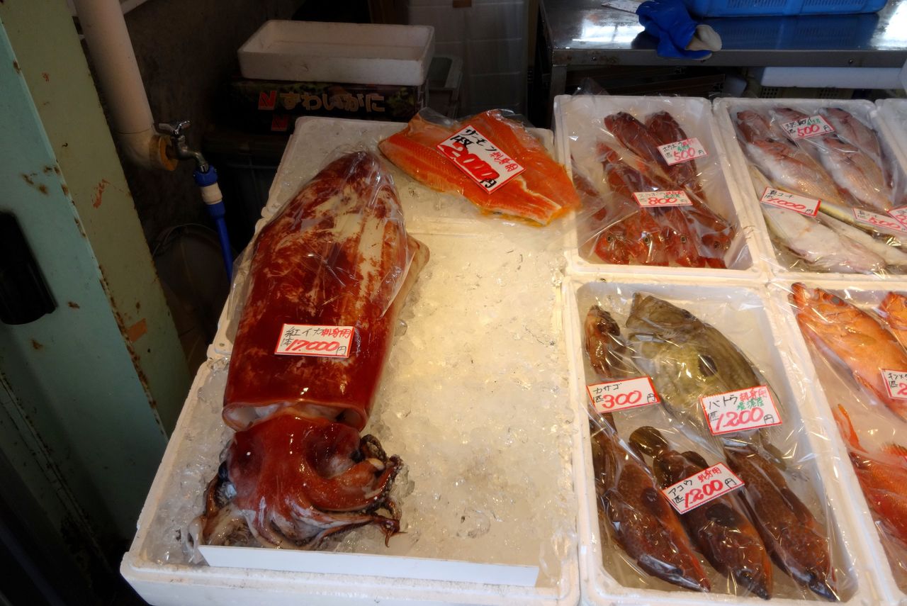 境港水産物直売センター カニ 魚 山陰と小庭 写真