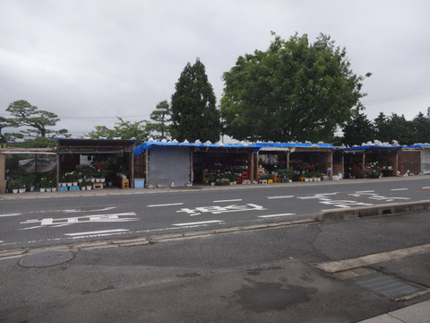 DSC00207