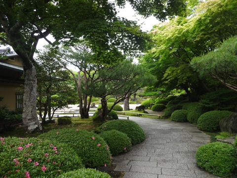 DSC00184