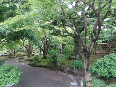 DSC00146