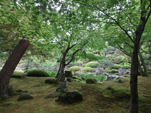 DSC00147