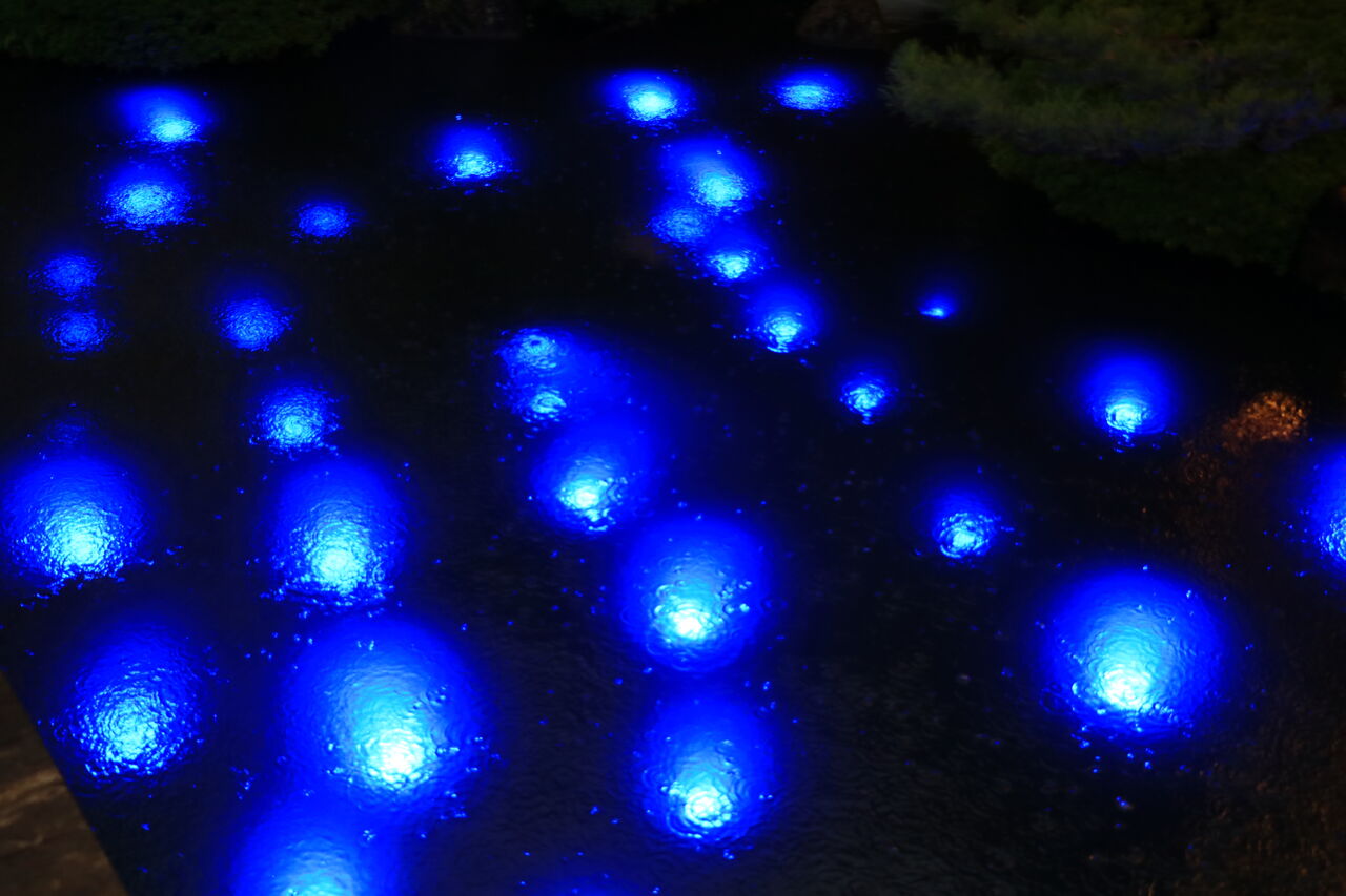 大根島 由志園イルミネーション 19 山陰と小庭 写真