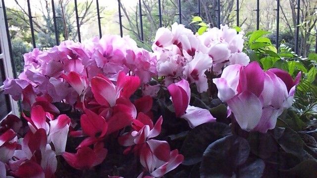 150418_161759