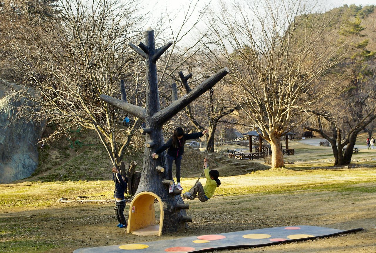 kodomo