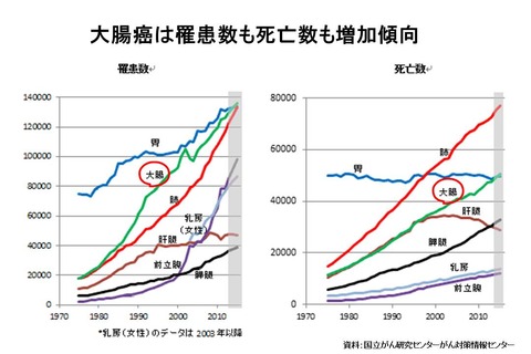 12 円グラフ