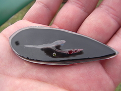 RIMG0088