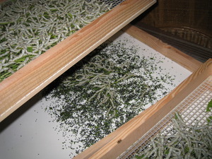 掃除ができる飼育箱