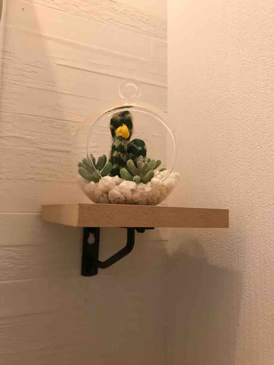 Diy 洗面ミラーキャビネットの取り付け 安く簡単にタイルをdiy 坪 3階建てのおうちづくり Diyを楽しもう Diy 洗面ミラーキャビネットの取り付け 安く簡単にタイルをdiy 坪 3階建てのおうちづくり Diyを楽しもう