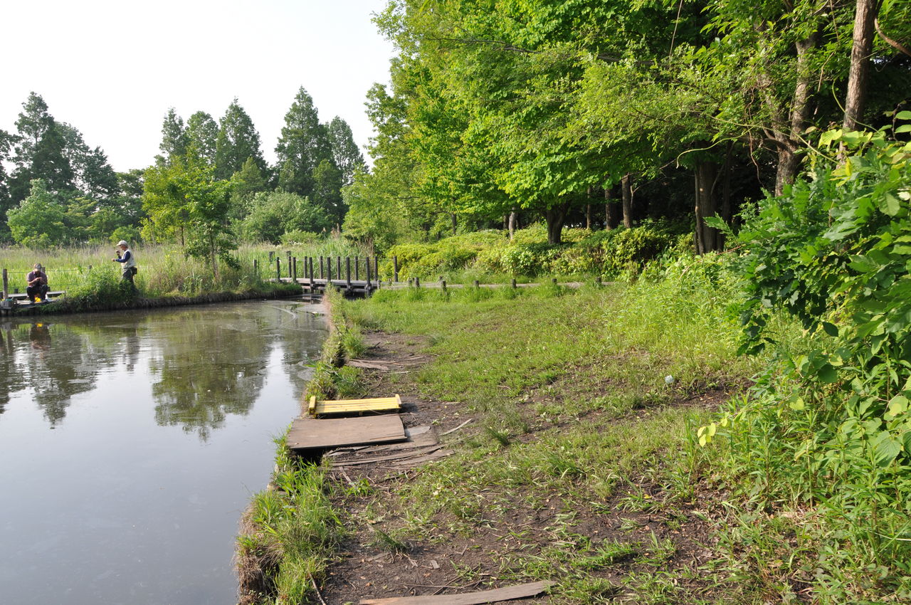 埼玉の三角點 川口自然公園 おやじの三角點さがし 埼玉の三角點 川口自然公園 おやじの三角點さがし