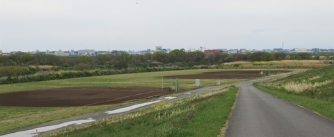 IMG_0796 (2)