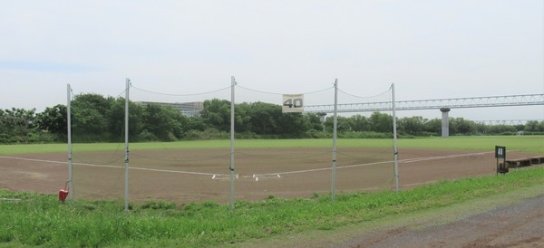 IMG_1177 (2)