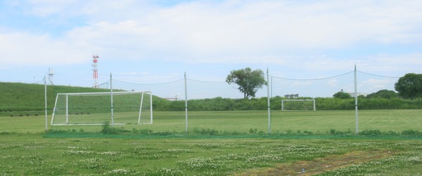 IMG_3464 (2)