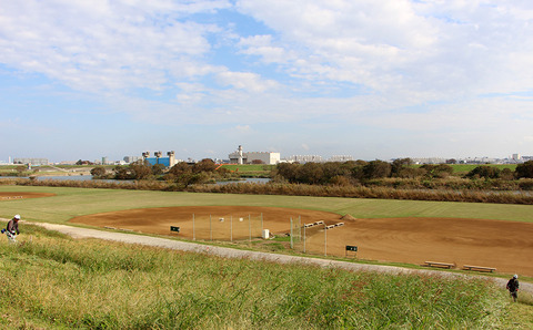 20番