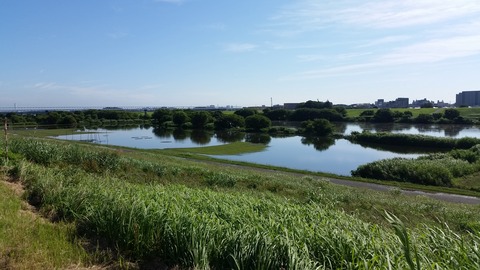 20150719_080454