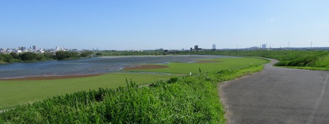 IMG_1664 (2)