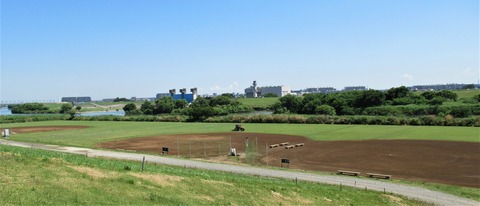 IMG_1478 (2)