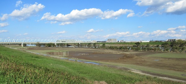 IMG_4668 (2)