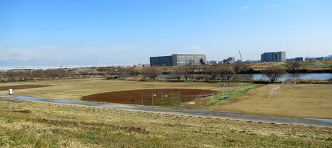 IMG_3517 (2)