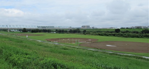 IMG_2432 (2)