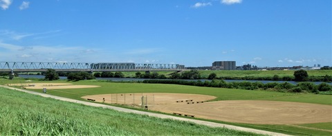 IMG_6542 (2)