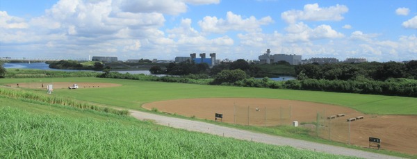 IMG_8446 (2)