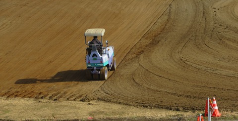 IMG_2803 (2)