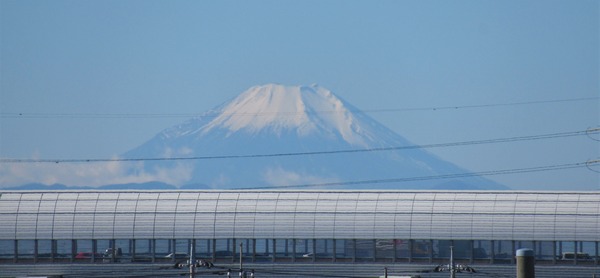 IMG_5138 (2)