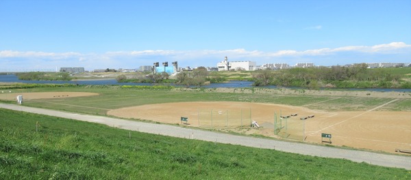 IMG_6952 (2)