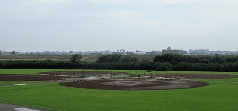 IMG_7806 (4)