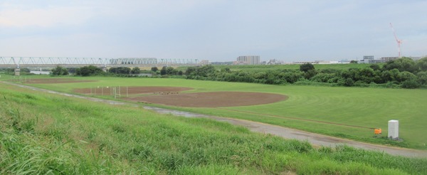 IMG_1553 (2)
