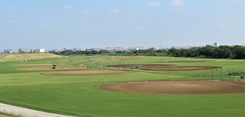 IMG_3923 (2)