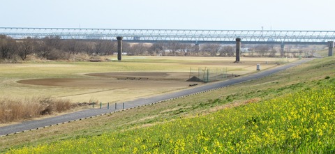 IMG_6518 (3)
