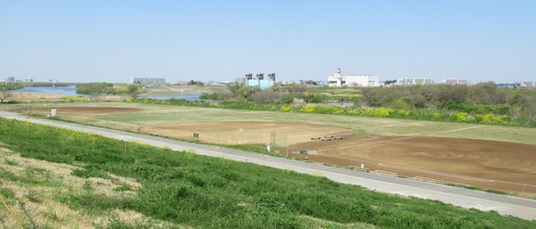 IMG_3190 (2)