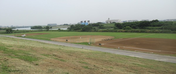 IMG_3631 (2)