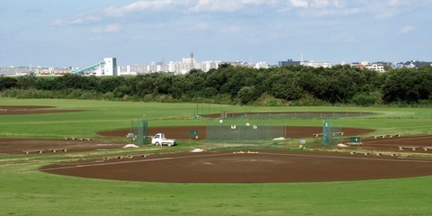 IMG_0961 (3)