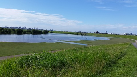 20150719_081408