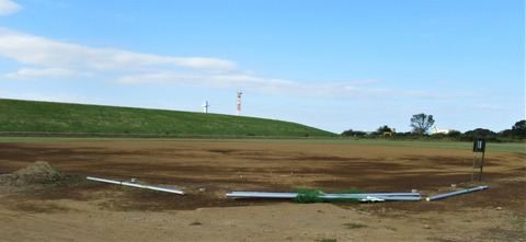 IMG_4186 (2)