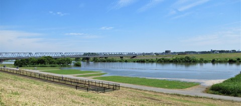 IMG_1371 (2)