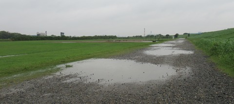 IMG_8126 (2)