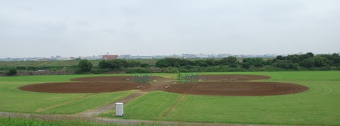 DSC_0971 (2)