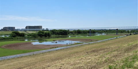 IMG_1374 (2)