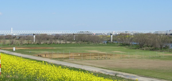 IMG_6530 (2)