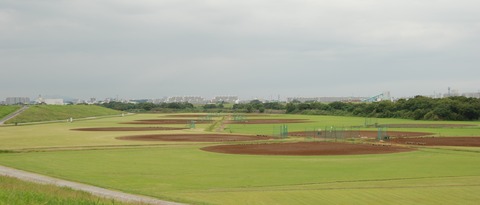DSC_0745 (2)