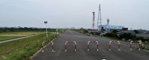 IMG_8484 (2)