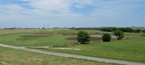 IMG_1383 (2)