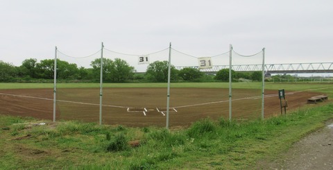 IMG_1007 (2)